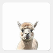 Fluff & Friendship スクエアシール (正面)