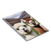 Fluff & Friendship ノートブック (右側)