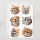 Fluffing Around シーズンカード (正面)