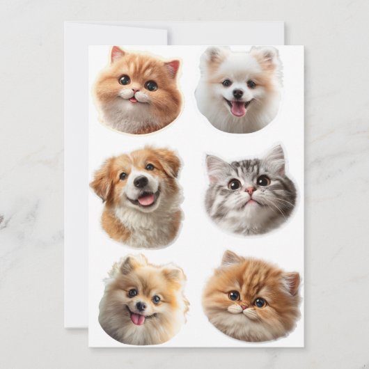 Fluffing Around シーズンカード (正面)