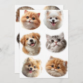 Fluffing Around シーズンカード (正面/裏面)