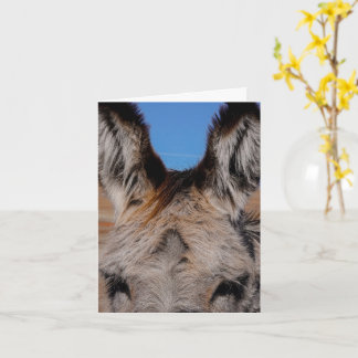 Fluffy Burro - Thank You Card カード