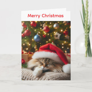 Fluffy cat christmas card シーズンカード