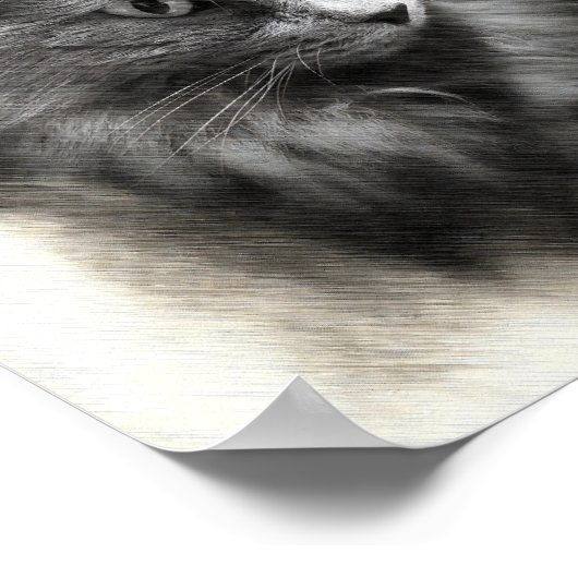 Fluffy Gray Cat Sketch - Soft Feline Portrait Art ポスター (角)