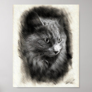 Fluffy Gray Cat Sketch - Soft Feline Portrait Art  ポスター