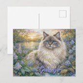 Fluffy Himalayan Cat In Purple Garden at Sunrise ポストカード (正面/裏面)