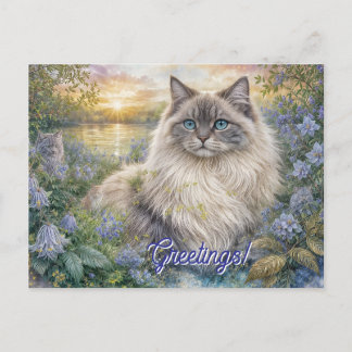 Fluffy Himalayan Cat In Purple Garden at Sunrise ポストカード