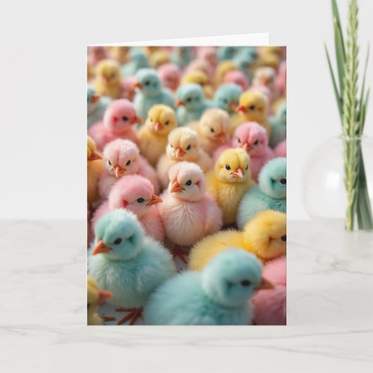 Fluffy Pastel Chicks Photo Card カード (正面)