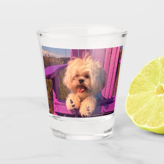 Fluffy Playful Shih Tzu Puppy Smiles, Purple Chair ショットグラス (正面)