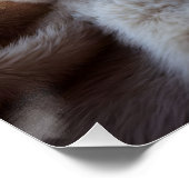 Fluffy red kitten playing with a tiny teddy bear, ポスター (コーナー)