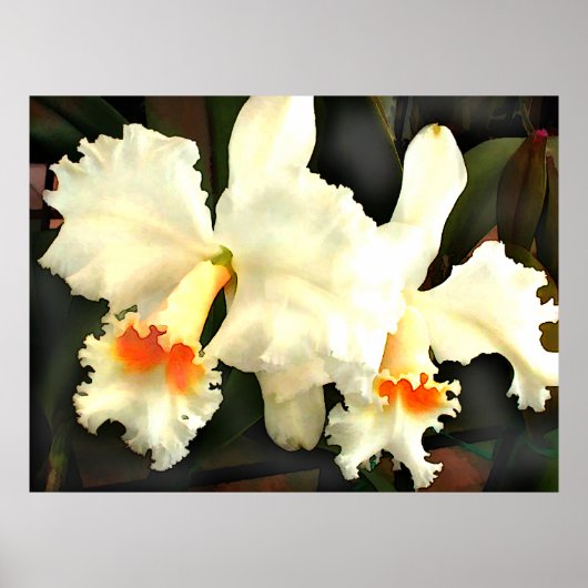 Fluffy White Cat...tleyas ポスター (正面)