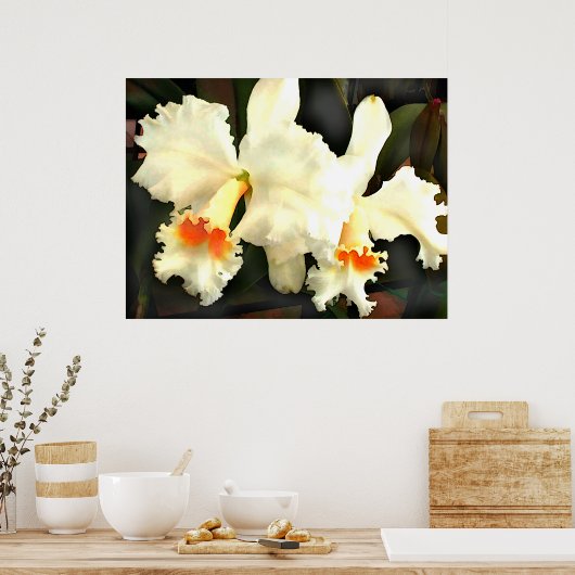 Fluffy White Cat...tleyas ポスター (キッチン)