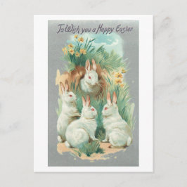 Fluffy White Vintage Easter Bunnies シーズンポストカード