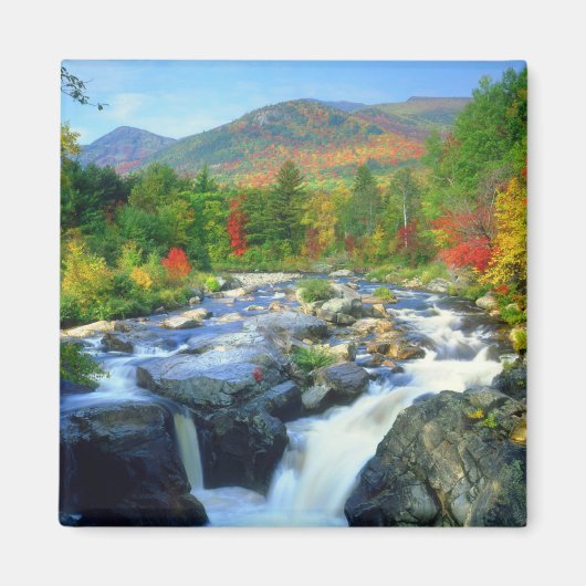 Flume Falls | アディロンダック山地 マグネット (正面)