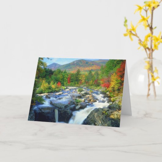 Flume Falls |  Adirondack Mountains カード (黄色い花)