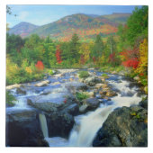 Flume Falls | Adirondack Mountains タイル (正面)