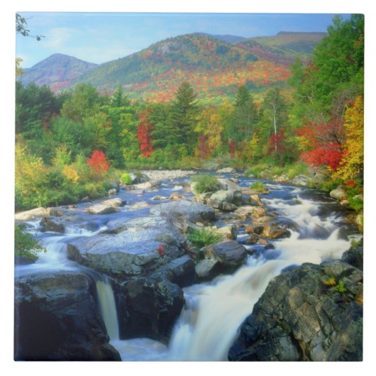 Flume Falls |  Adirondack Mountains タイル (正面)