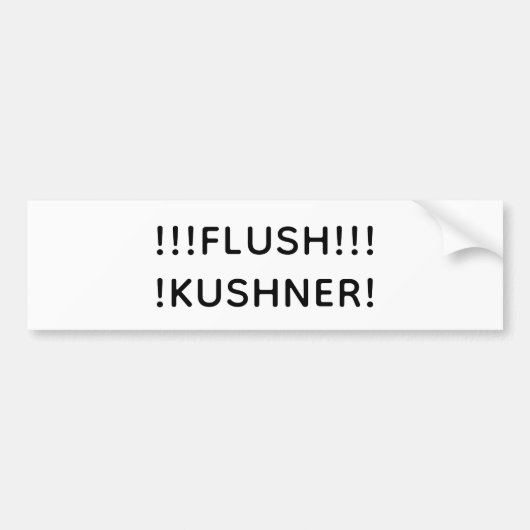 FLUSH KUSHNER Hankamer Artjunkhaus Splash-Art Fun! バンパーステッカー (正面)