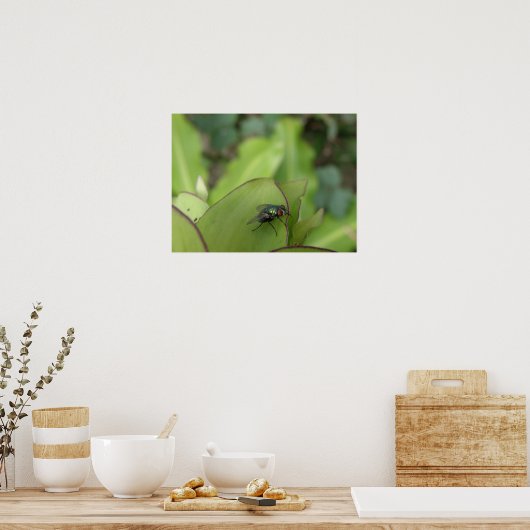 Flyマクロプリント ポスター (キッチン)