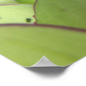 Flyマクロプリント ポスター (角)