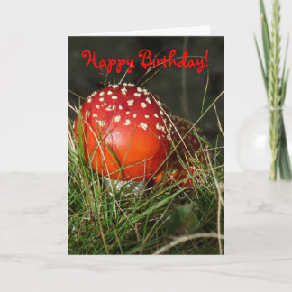 "Fly Agalice Mhynoome"誕生日カード カード