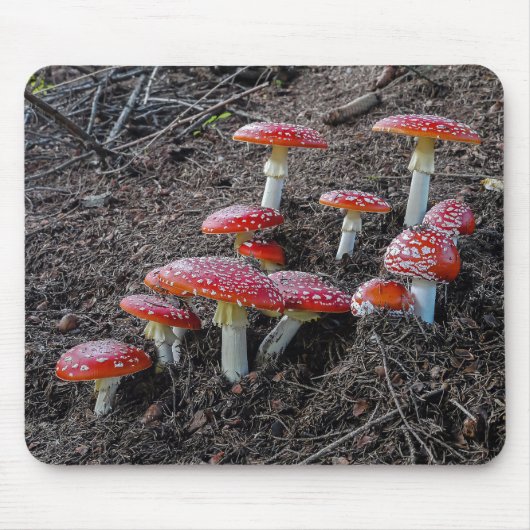 Fly agaric マウスパッド (正面)