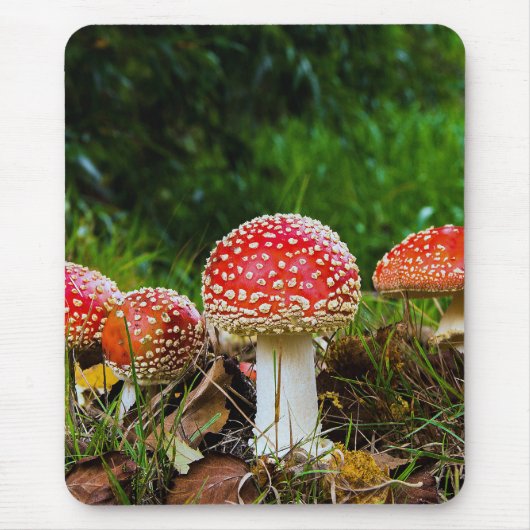 Fly agaric マウスパッド (正面)