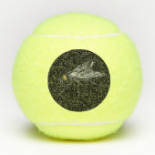Fly Buddy giant fly black Penn tennis balls テニスボール (正面)