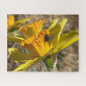 Fly Staying On Daffodilクローズアップ写真 ジグソーパズル (横)