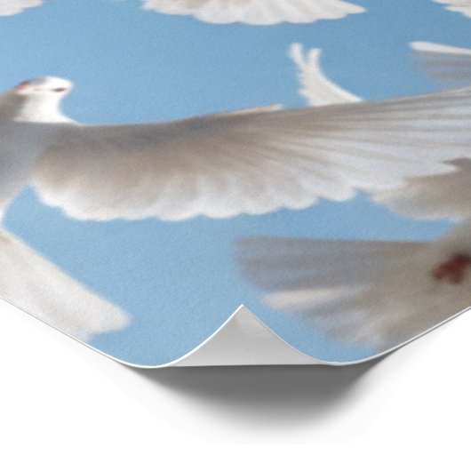 fly toward the light ポスター (角)