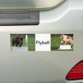 Flyball バンパーステッカー (車上)