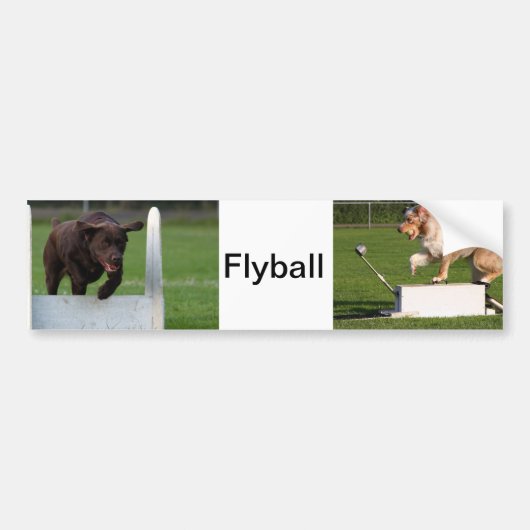 Flyball バンパーステッカー (正面)