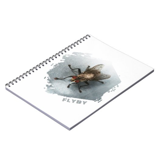 Flyby. Close-up photo of a fly ノートブック (左側)