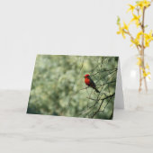 Flycatcherの挨拶状 カード (黄色い花)