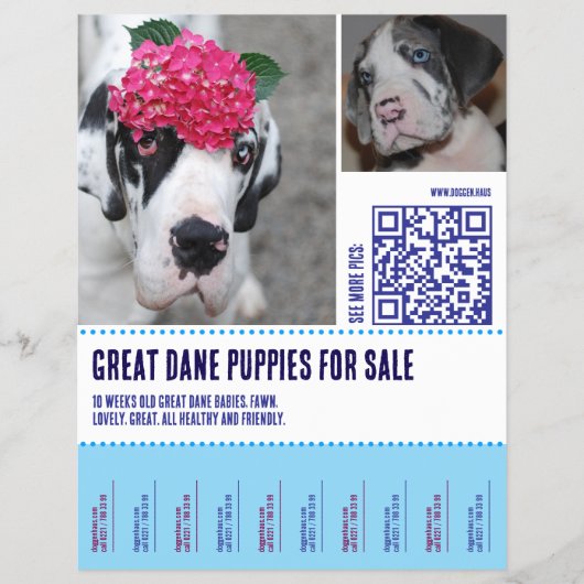 Flyer チラシ (正面)