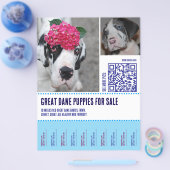 Flyer チラシ (シングル)