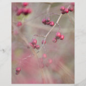 Flyer Flowers Garden チラシ (裏面)