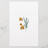 Flyer  ¿Quién soy? Flores - Juego チラシ (裏面)