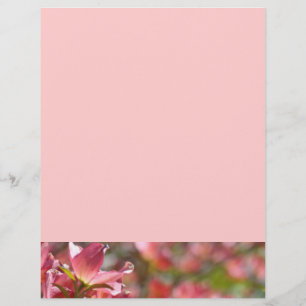 Flyers カスタム Dogwood独自の花を作成 チラシ