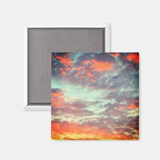 Flying Bird in Clouds Photo マグネット (正面/裏面)