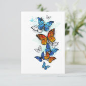 Flying Butterflies Morpho and Monarch エンクロージャーカード (スタンド正面)