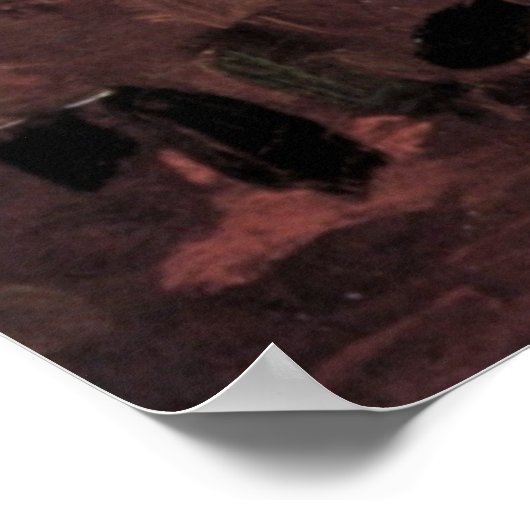 Flying Fox by Vincent van Gogh ポスター (角)