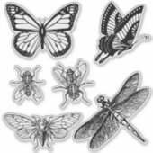 Flying insects transparent stickers シール (正面)