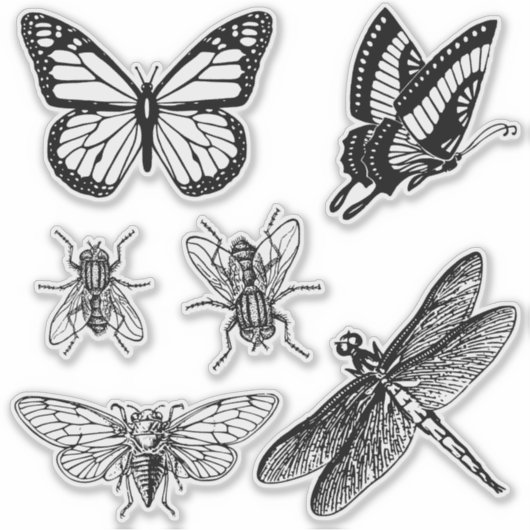 Flying insects transparent stickers シール (正面)