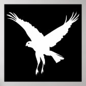 Flying marsh harrier ポスター (正面)
