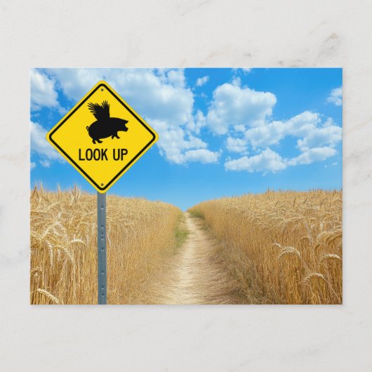 Flying Pig Sign Postcard ポストカード (正面)