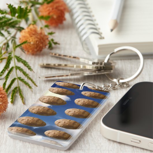 Flying Potatoes Space Potato Invasion キーホルダー (正面右)