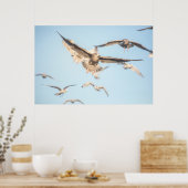 Flying Seagulls ポスター (キッチン)