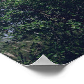 Flying Swan Nature Bird Wild Life ポスター (角)