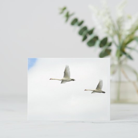 Flying swans  ポストカード (スタンド正面)